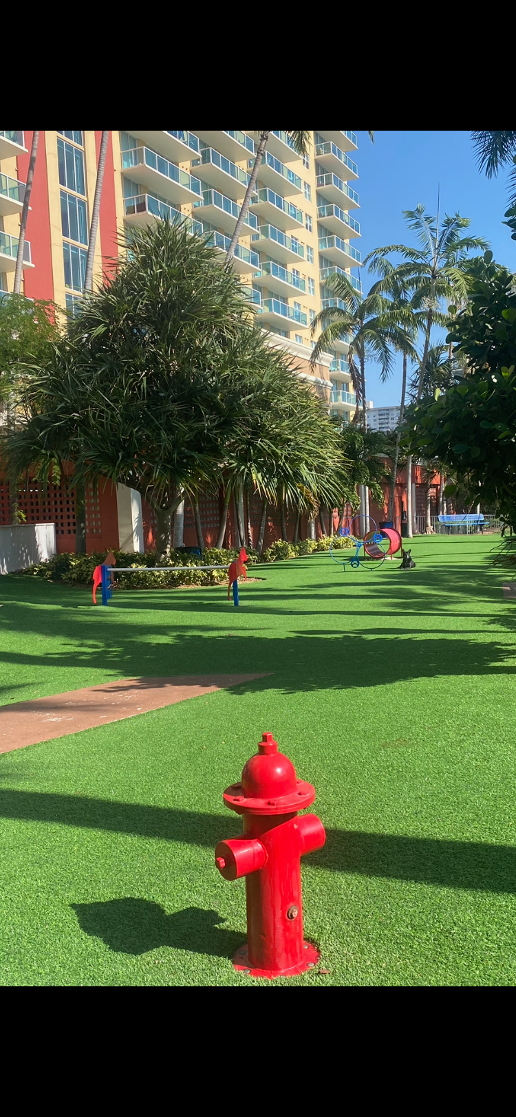 Commercial Turf