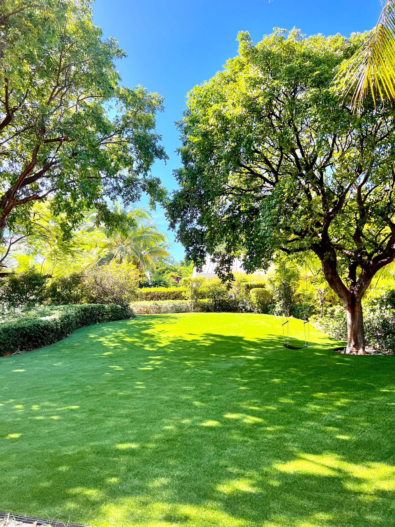 Beautiful Lawn